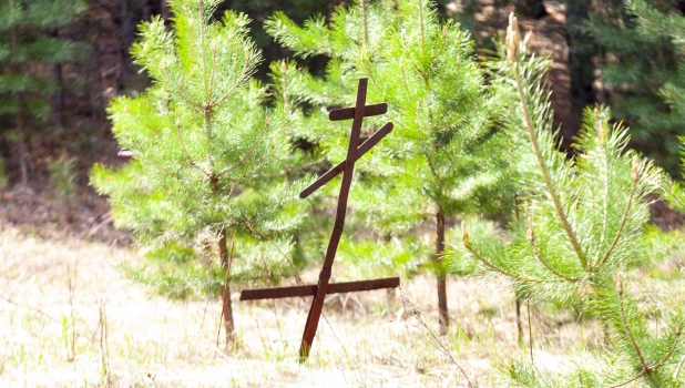 Булыгинское кладбище.