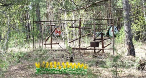 Булыгинское кладбище.