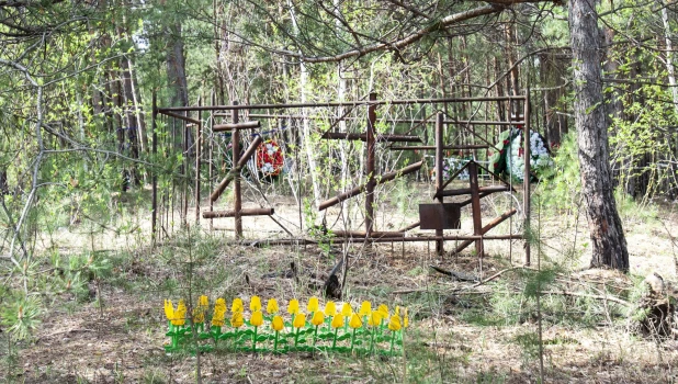 Булыгинское кладбище.