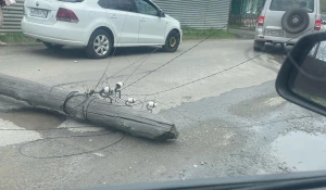 В Барнауле столб упал на машину