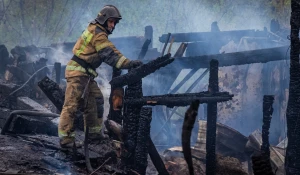Пожар на ул. Зеленая Поляна в Барнауле.