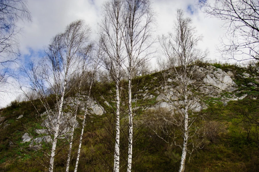 Нацпарк «Салаир»