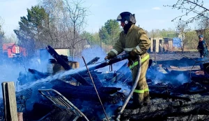Сгорели домики в садоводстве под Барнаулом