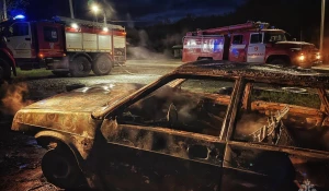 Загорелся автомобиль в поселку Центральный в Барнауле