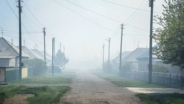 Жители Камня-на-Оби страдают от пожарного дыма со свалки, власти просто наблюдают.