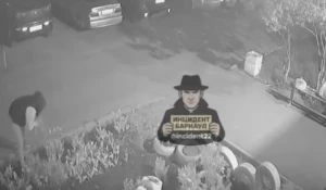 Ночные цветочные воровки завелись в Барнауле