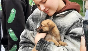 Музыка и дружба: в парке «Изумрудный» прошел благотворительный марафон