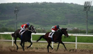 Скачки в Чечне.