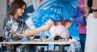 Большая выставка клуба любителей кошек «Демарис» в Барнауле