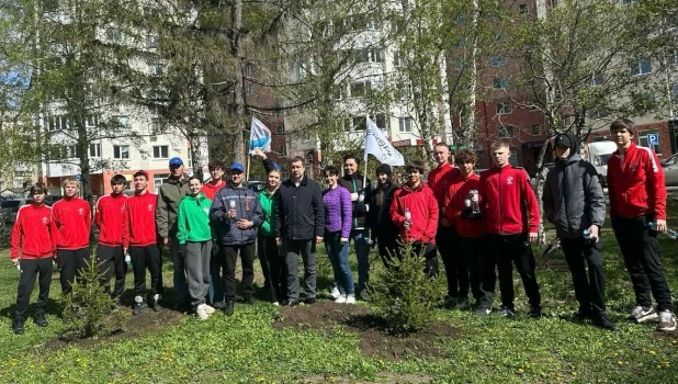 В городе высадили 10 елей в честь 80-летия Великой Победы.