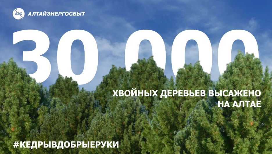 Экологический проект «Кедры в добрые руки».