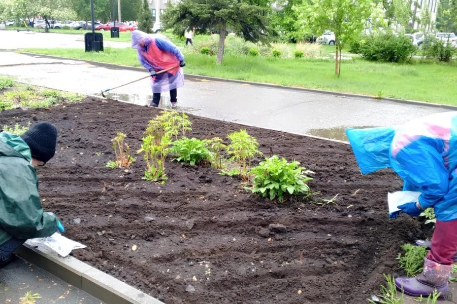 Начали засаживать цветники в Барнауле