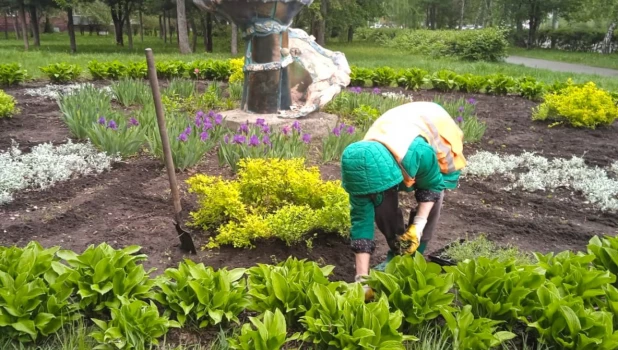 Начали засаживать цветники в Барнауле