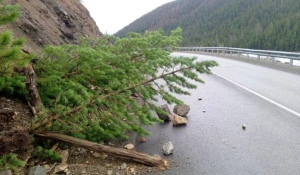 Камнепад произошел в Республике Алтай