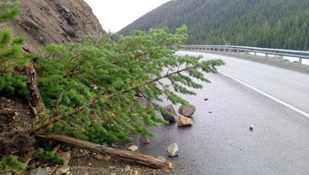 Камнепад произошел в Республике Алтай