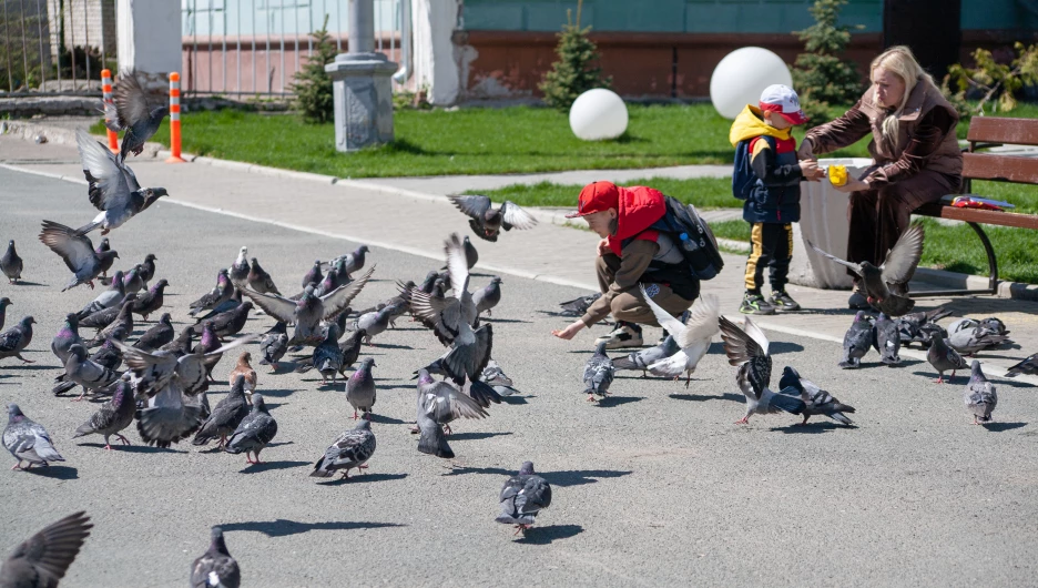 Май в Барнауле, 2025 год.