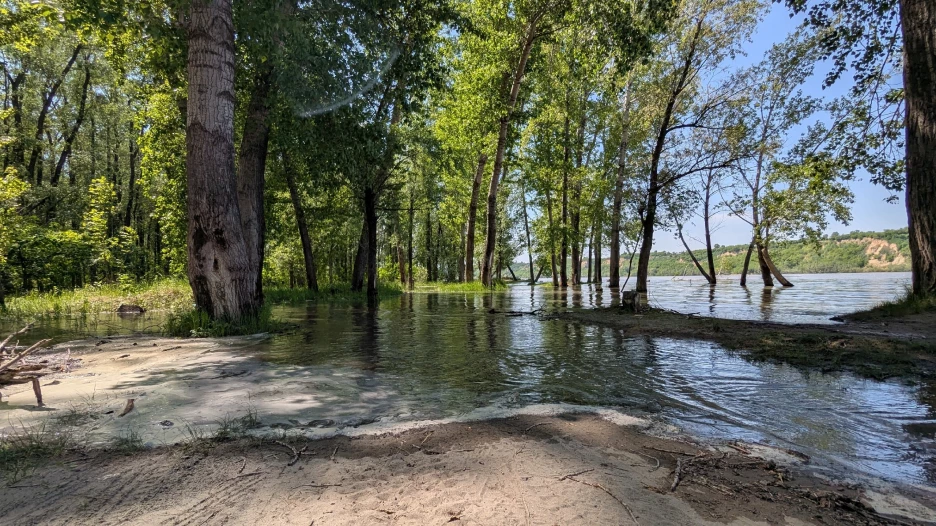 Паводок в Алтайском крае.