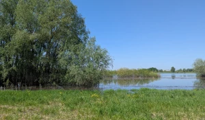 Паводок в Алтайском крае.