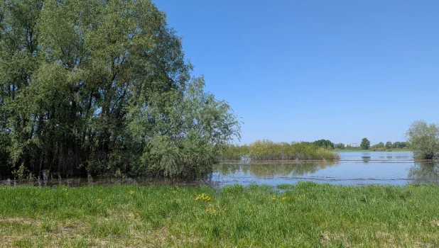 Паводок в Алтайском крае.