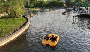 Люди плавают на катамаранах в парке «Изумрудный» на «Музейную ночь» — 2025.