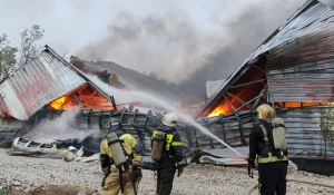 Пожар на ул. Звездной в Барнауле.