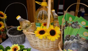 В честь дня российского предпринимательства пройдет ярмарка «Выбирай своё».