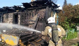 В селе Веселоярск Рубцовского района 