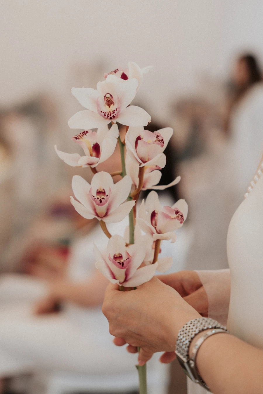 В шатре «Монблан» прошло ежегодное вручение премии от Женского делового альянса «Совершенство».