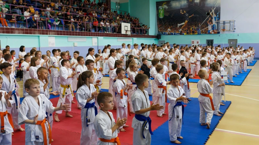 Первенство по киокушин каратэ &quot;Внуки Победы&quot;.