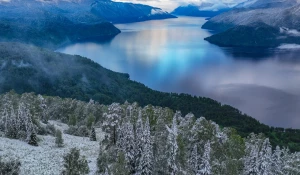 «Зеленая зима» в Алтайском заповеднике.