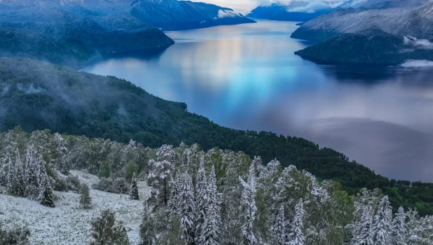 «Зеленая зима» в Алтайском заповеднике.