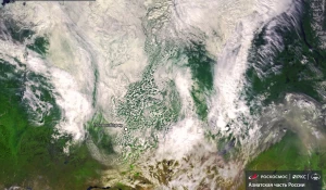 Заморозки в Новосибирске.