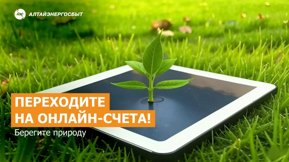 Переходите на онлайн-счета.