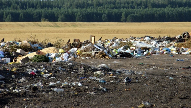 Сельская свалка.