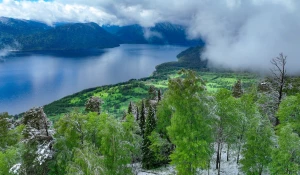 «Снежный май» в Алтайском заповеднике.