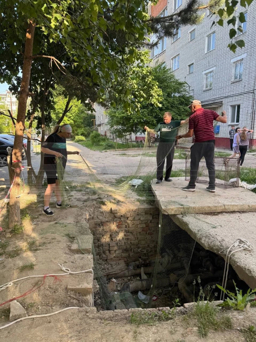 Волонтеры и сотрудники МЧС спасли собаку-маугли из подземного бункера.