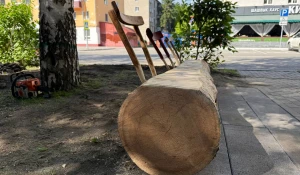 Первую эко-лавку поставили волонтеры на улице Барнаула.