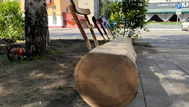 Первую эко-лавку поставили волонтеры на улице Барнаула.