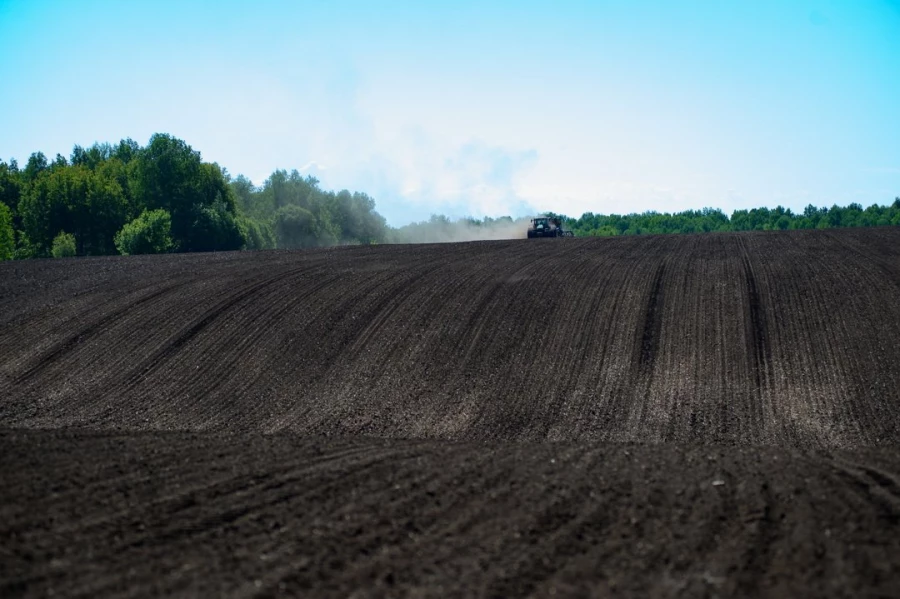 Поля компании &quot;Гея&quot;