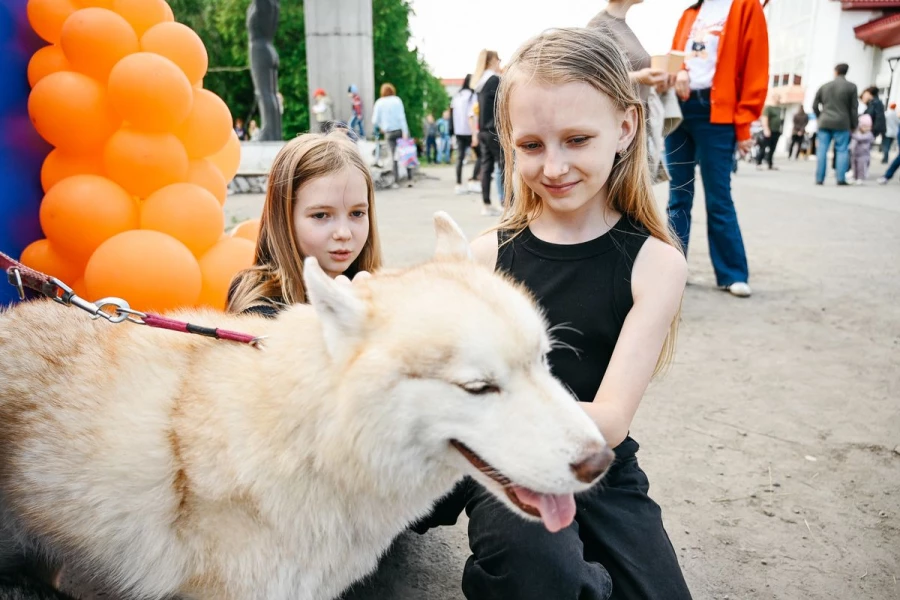 На празднике можно было сфотографироваться с пушистыми хаски.