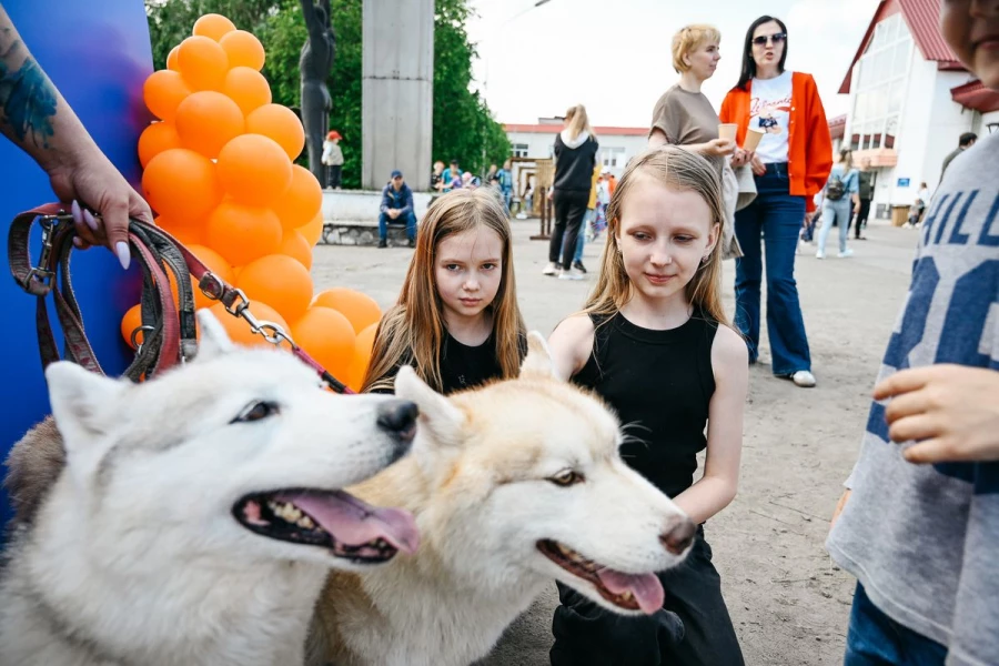 На празднике можно было сфотографироваться с пушистыми хаски.