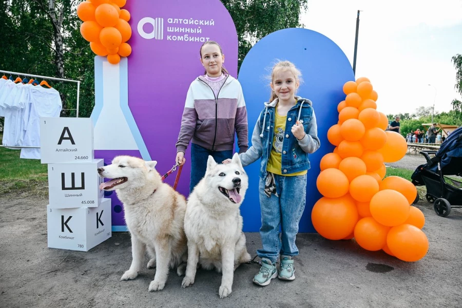 На празднике можно было сфотографироваться с пушистыми хаски.