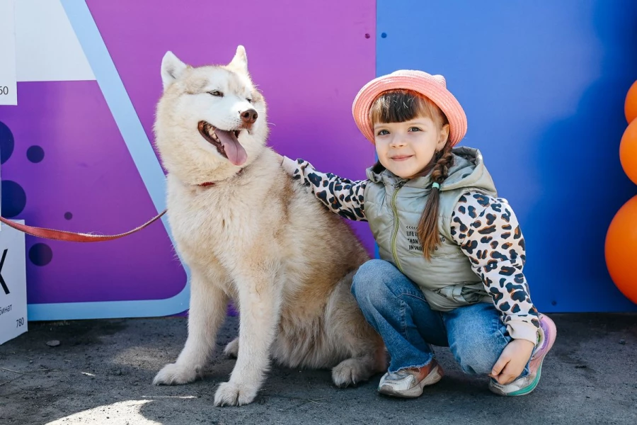 На празднике можно было сфотографироваться с пушистыми хаски.