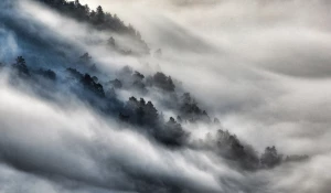 Летним утром сказочный туман окутывает Алтайский заповедник волшебством.