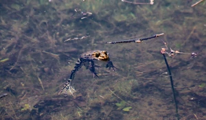 Алтайский край, 2025 год.