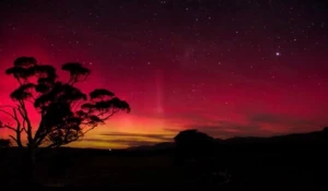 Австралийцы впечатлялись удивительным северным сиянием

