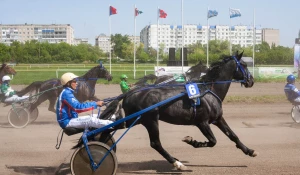 Открытие летнего сезона на Барнаульском ипподроме, 2025 год.