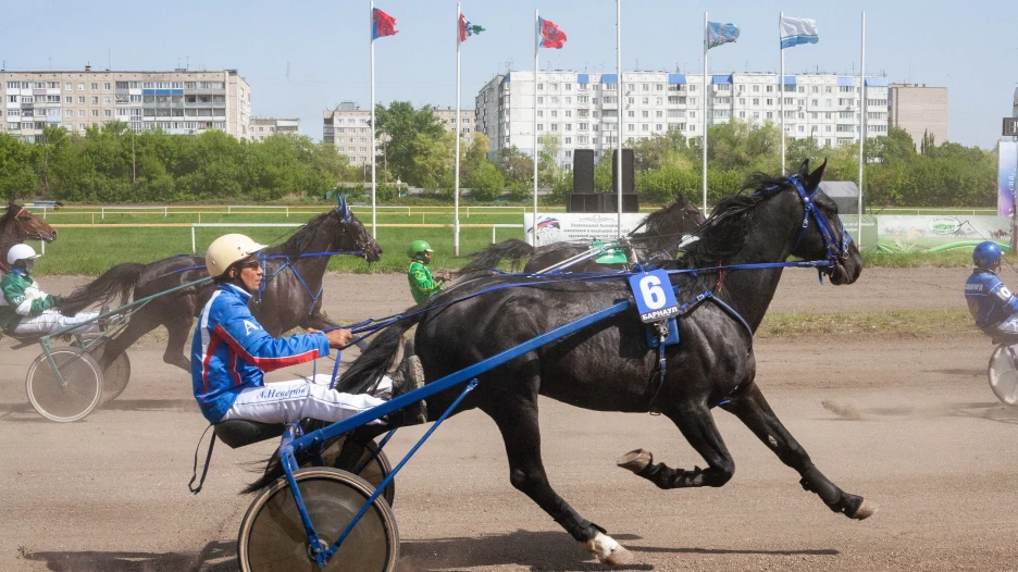 Открытие летнего сезона на Барнаульском ипподроме, 2025 год.