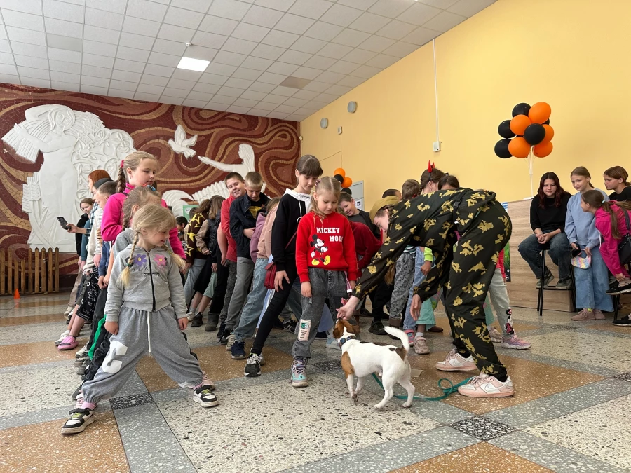 Федерация кинологического спорта представила кинологическое шоу. Федерация кинологического спорта представила кинологическое шоу.