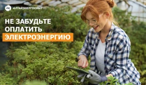 Пара минут для оплаты квитанции — и можно наслаждаться жаркими летними днями.